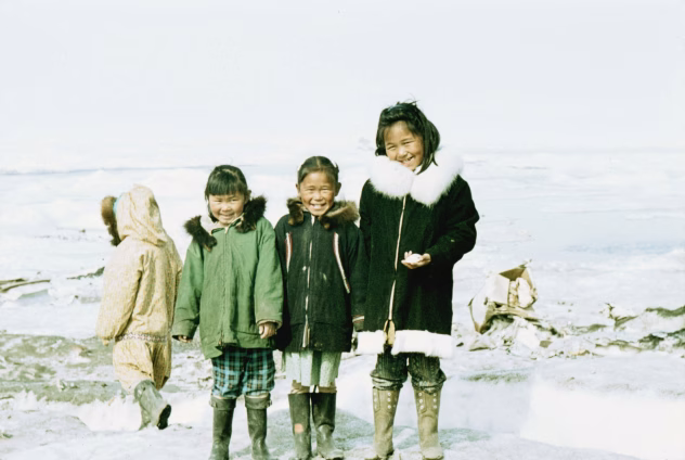 Slimības un dabiskā izlase