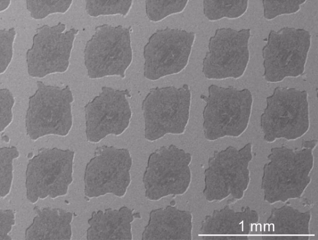 Jaunā kompozītmateriāla mikroskopiskā struktūra