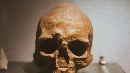 Cilvēka evolūcijas noslēpumi: ko mūsu skeleti un gēni šodien stāsta par pagātni