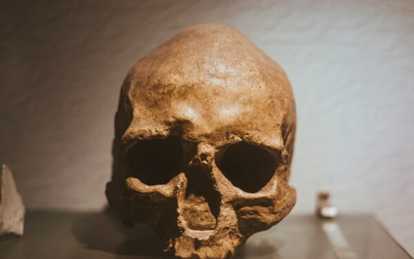 Cilvēka evolūcijas noslēpumi: ko mūsu skeleti un gēni šodien stāsta par pagātni